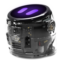 Ozobot Ari Starter-Set
