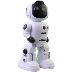 Interaktiver Roboter IQ Future Machine
