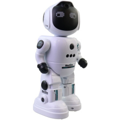 Interaktiver Roboter IQ Future Machine