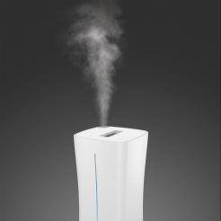 Stadler Form Eva Little