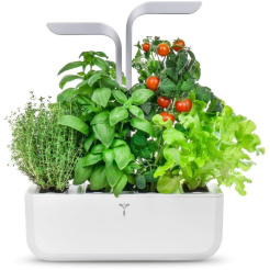 Véritable SMART mit Lichtsteuerung - weiß + 4 Kräuternachfüllungen