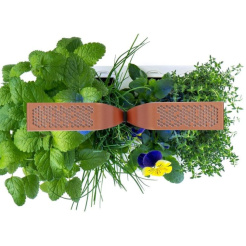 Véritable SMART mit Lichtsteuerung - schwarz + 4 Kräuterminen