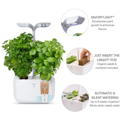 Véritable Exky CLASSIC - weiß + 2 Kräuterfüllungen