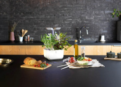 Véritable Exky CLASSIC - weiß + 2 Kräuterfüllungen