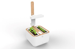 Véritable Botaneo + 2 Kräuterfüllungen