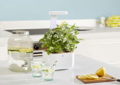 Véritable Botaneo + 2 Kräuterfüllungen