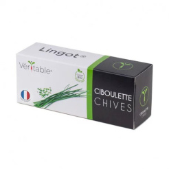 Lingot Schnittlauch - BIO