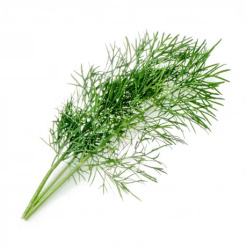 Essbarer Lingot Dill - BIO