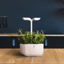 Véritable Lingot Rosmarin