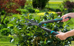 GARDENA Hand-Heckenschere EasyCut