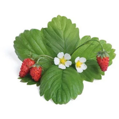 Véritable Lingot Rote Walderdbeeren