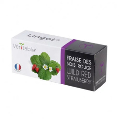 Véritable Lingot Rote Walderdbeeren