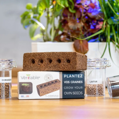 Véritable Lingot - ohne Kerne