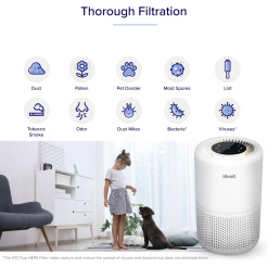 Levoit city 300S Smart