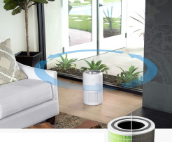 Bakterien- und Virenfilter Levoit City 300-RF-MB