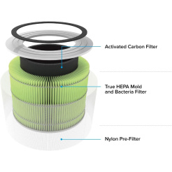 Bakterien- und Virenfilter Levoit City 300-RF-MB