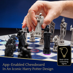Particula GoChess Mini, Harry-Potter-Edition