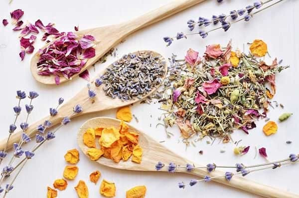 Teller zum Trocknen von Kräutern