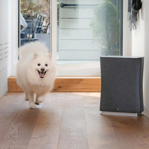 Leistungsstarker Luftreiniger