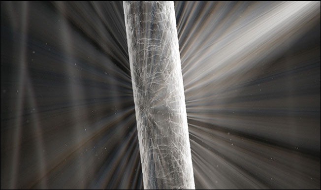 Gesundes Haar reflektiert Licht