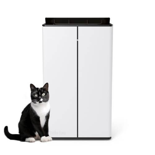 Indikator für die Luftqualität